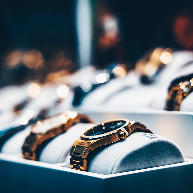 Alexine nos expertises 2